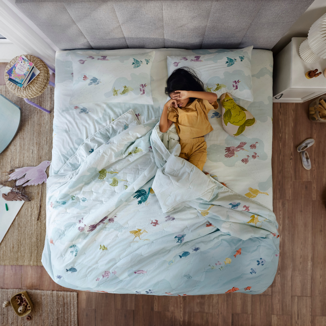 Cloud Keepers Percale Cotton Quilt