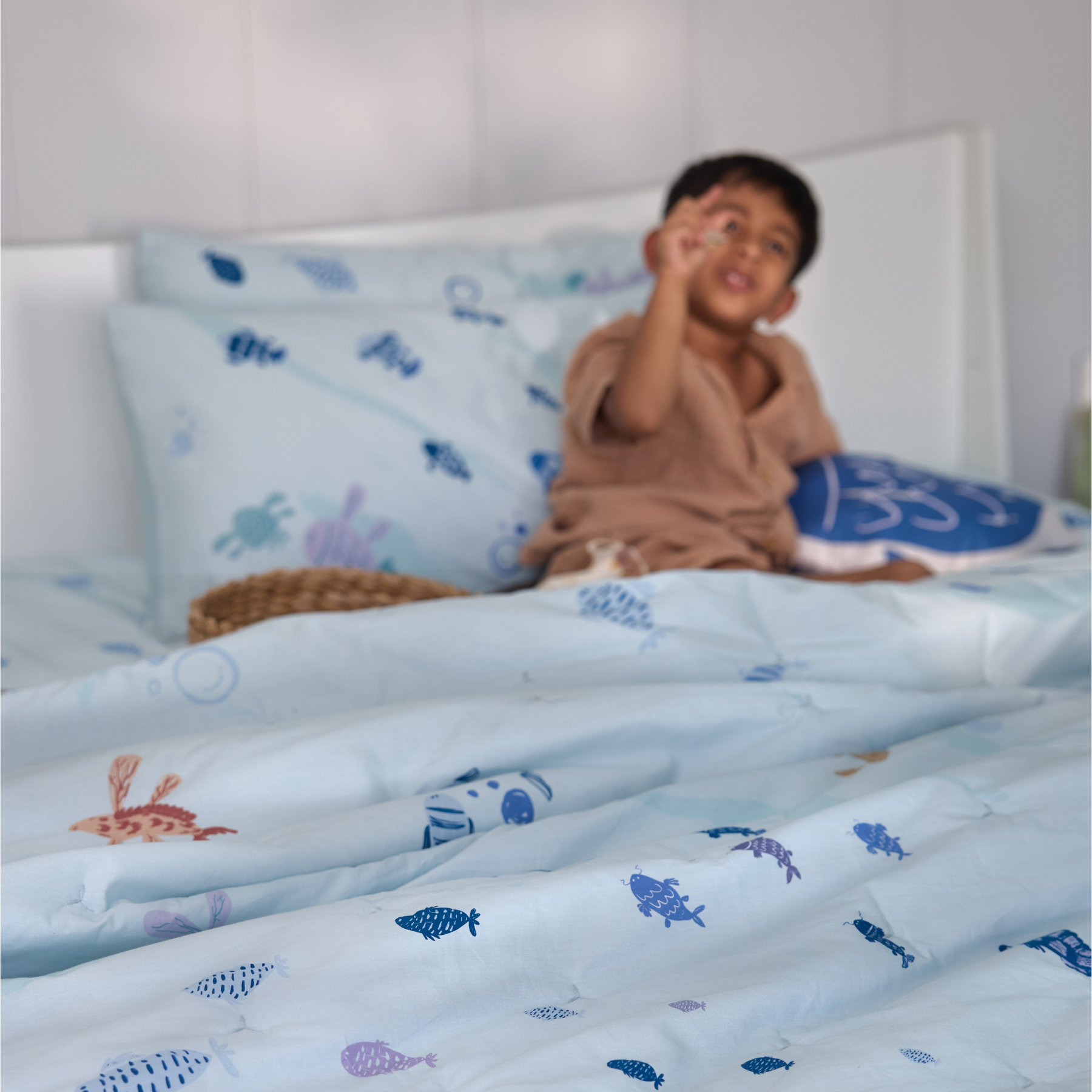 Ripple Tales Percale Cotton Quilt